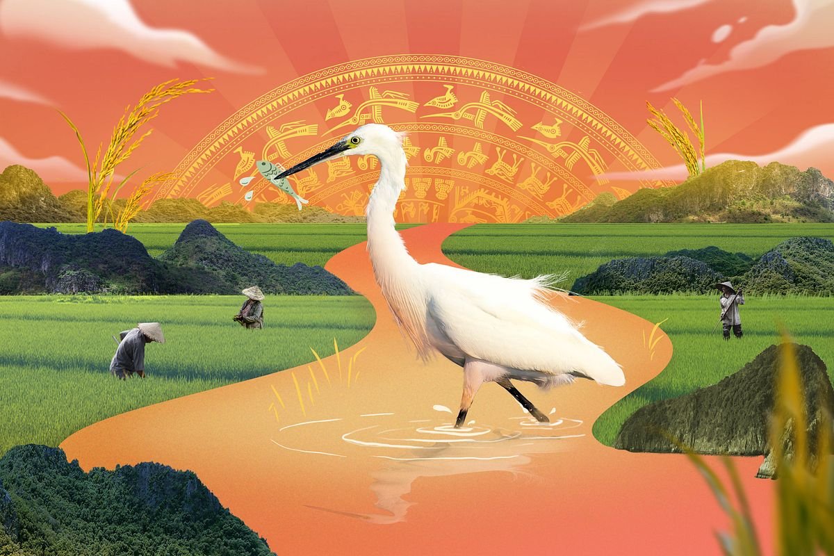 Ý nghĩa chung của giấc mơ thấy cò trắng