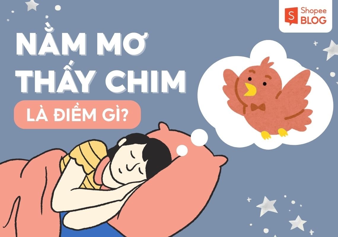Ý nghĩa chung của giấc mơ thấy chim én
