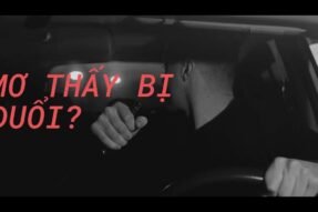 Tại sao bạn lại mơ thấy bị vây đuổi? Giải thích theo tâm linh và tâm lý học