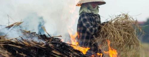 Giải Mã Giấc Mơ Thấy Cháy Đống Rơm – Điềm Báo Về Tài Lộc Và Biến Động