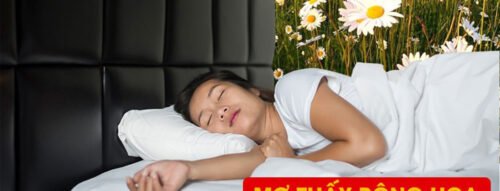 Giải Mã Giấc Mơ Thấy Bông Hoa: Điềm Báo Của Hạnh Phúc Và Tình Yêu