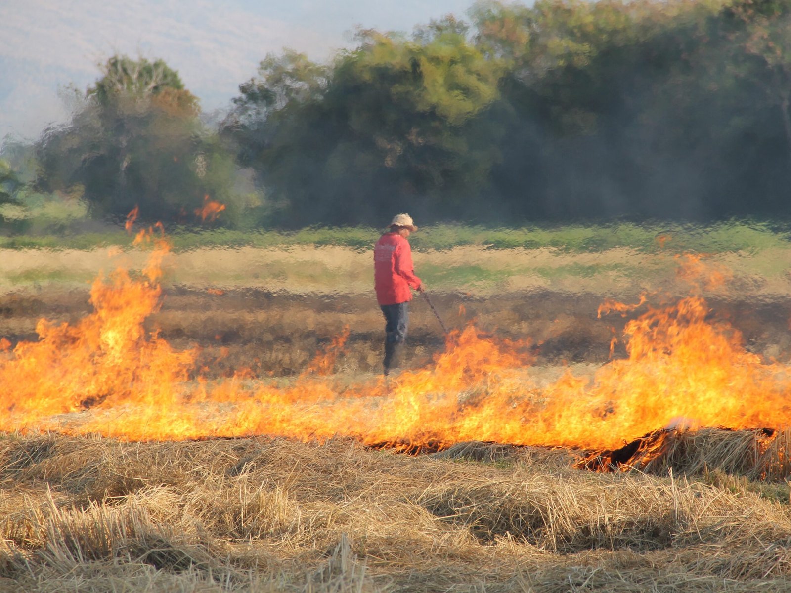 Giải mã chi tiết các trường hợp mơ thấy cháy đống rơm