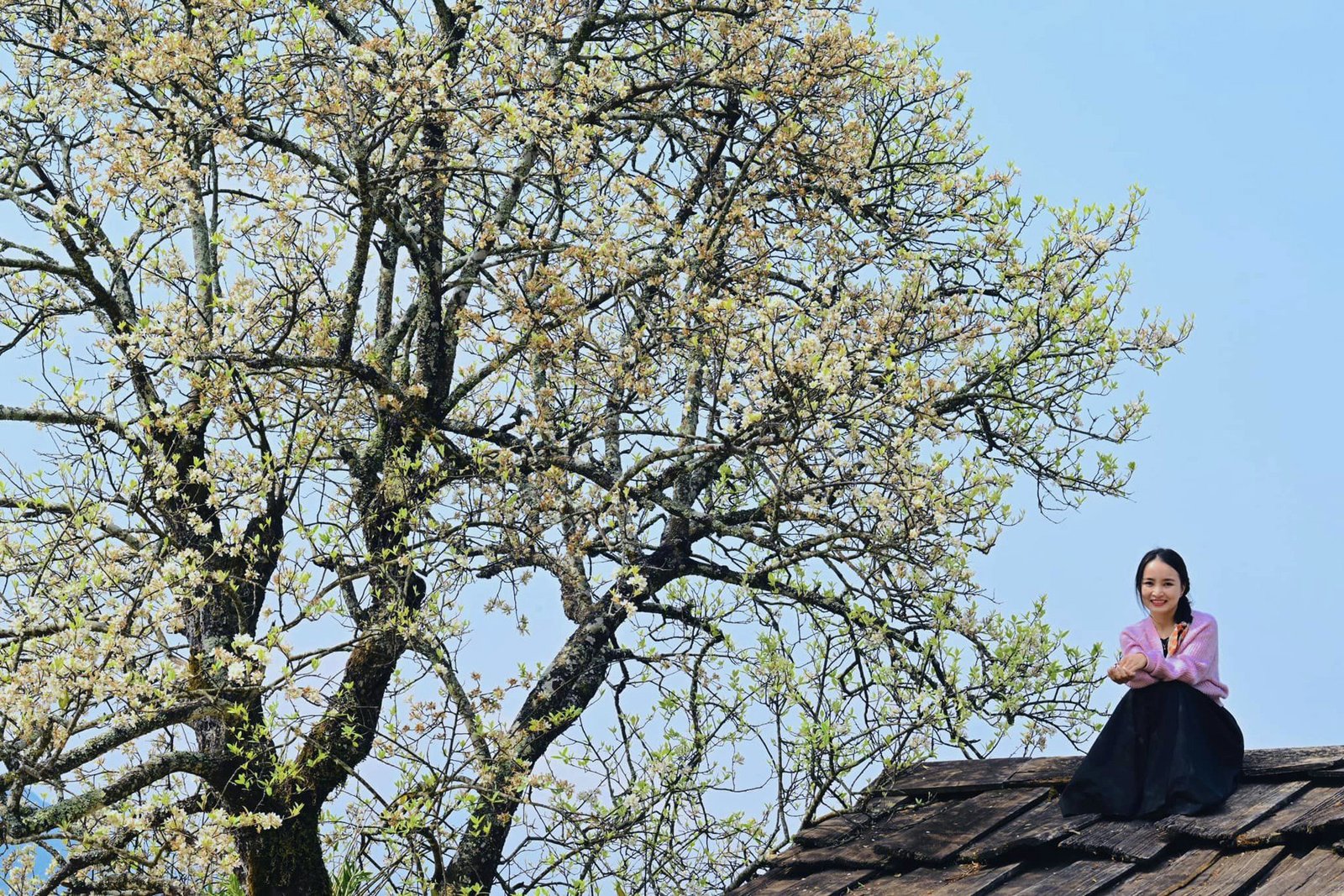 Con số may mắn khi mơ thấy trèo nóc nhà