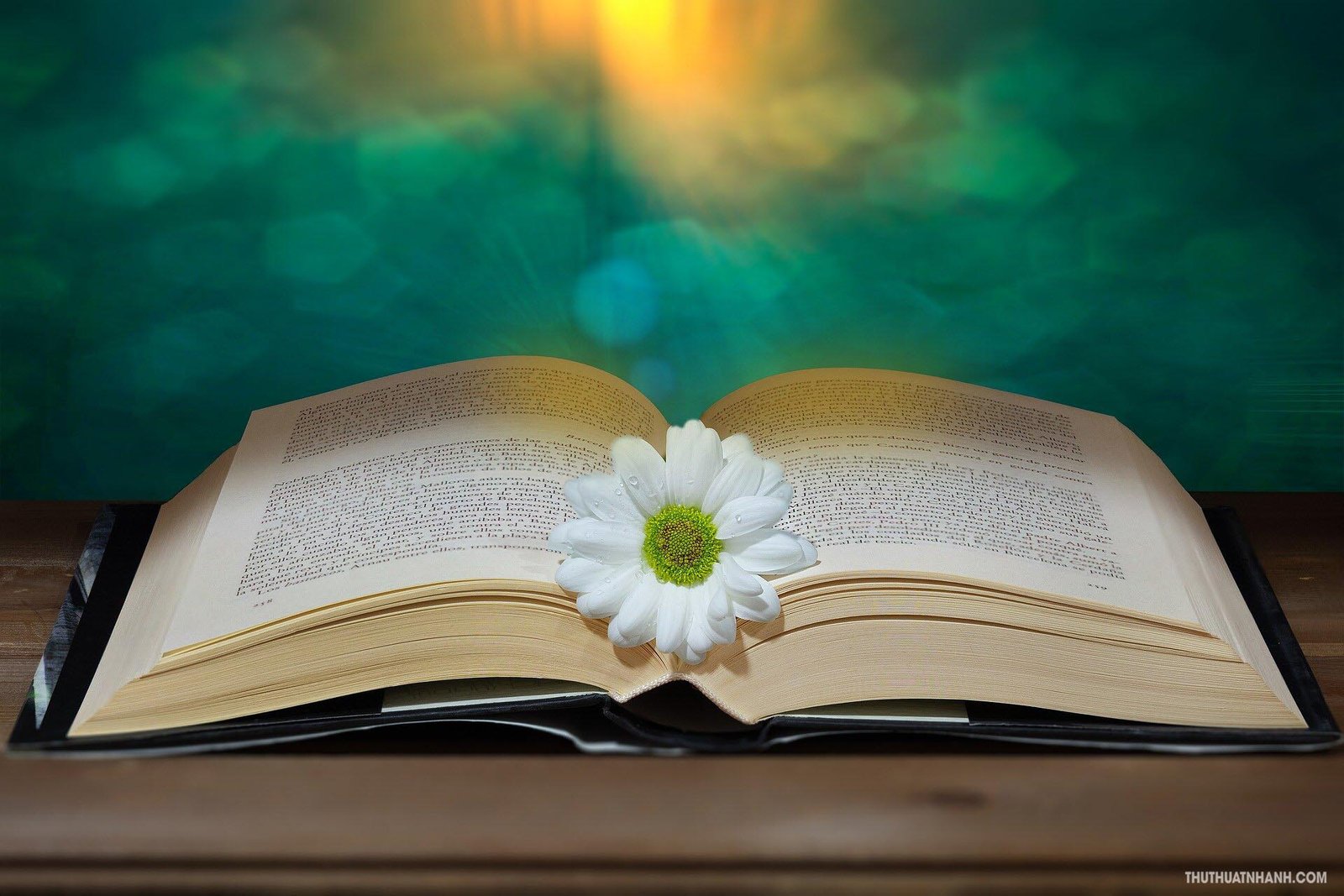 Mơ thấy sổ sách kế toán – Dấu hiệu về tài chính và công danh