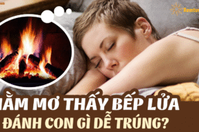 Mơ Thấy Bếp Đun Là Tốt Hay Xấu? Lời Nhắn Nhủ Từ Tiềm Thức