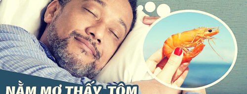 Mơ Thấy Con Tôm Là Điềm Gì? Giải Mã Giấc Mơ Thấy Tôm Chi Tiết