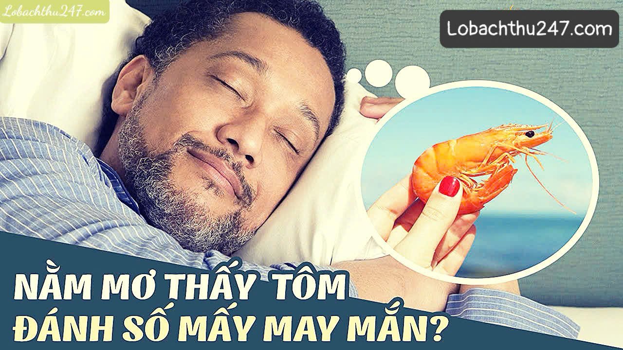 Mơ thấy con tôm đánh con gì?