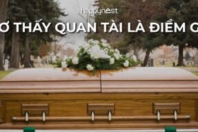 Nằm Mơ Thấy Quan Tài Có Xác Chết Là Điềm Gì? May Mắn Hay Xui Xẻo?