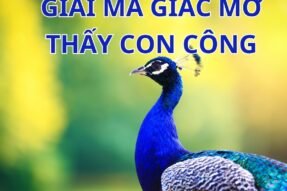 Nằm Mơ Thấy Con Công: Dấu Hiệu Của Tài Lộc Và May Mắn?