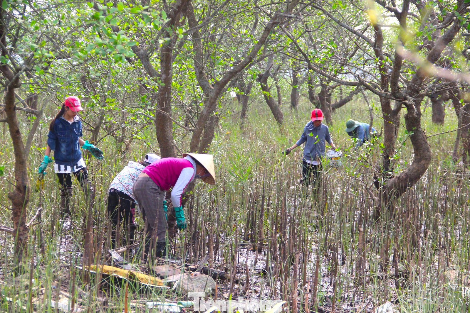 Con số may mắn khi mơ thấy bùn đầm lầy