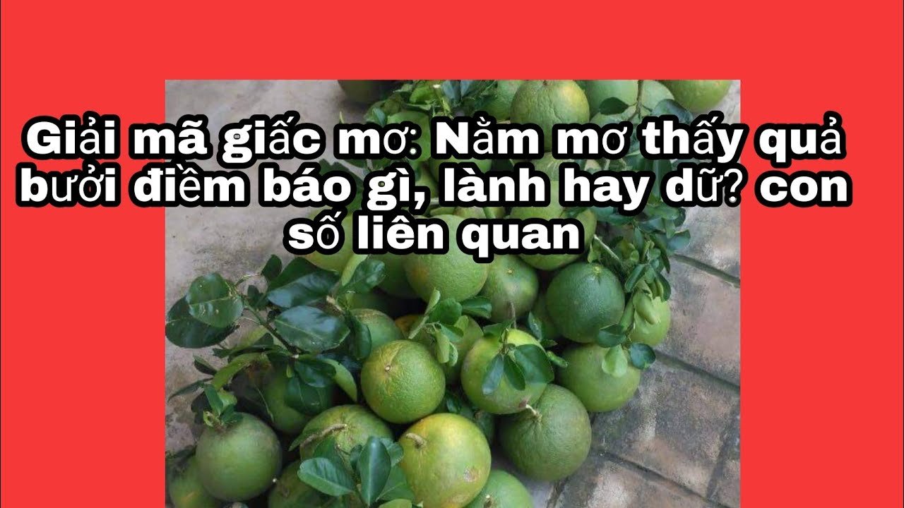 Giải mã giấc mơ thấy quả bưởi