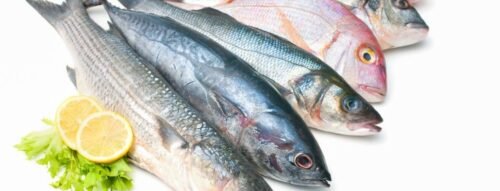 Giải mã điềm báo khi bạn nằm mơ thấy ăn trộm cá bất ngờ xuất hiện