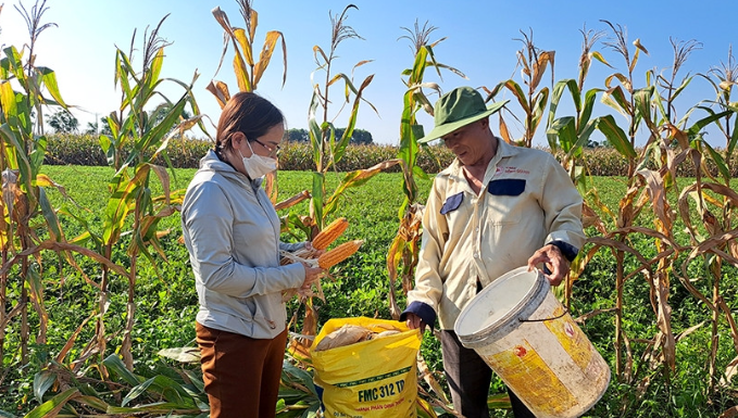 Biểu trưng cho công sức được đền đáp.
