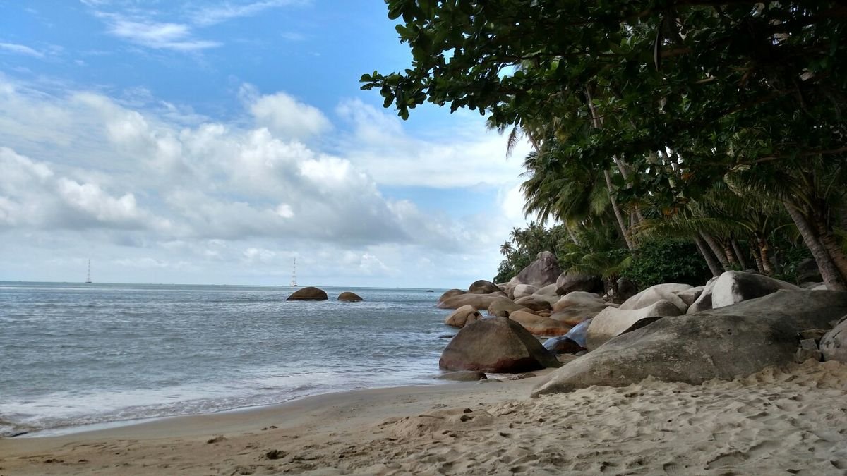 Liên hệ với cuộc sống, tình yêu và công việc