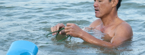 Mơ Thấy Bơi Qua Sông – Giải Mã Điềm Báo Và Con Số Liên Quan