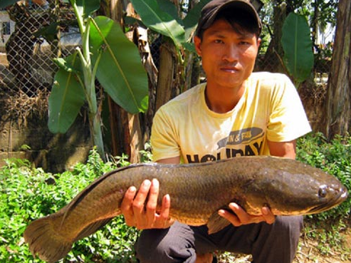  Một người đang cầm con cá chuối to bằng hai tay, gương mặt rạng rỡ thể hiện niềm vui trúng thưởng.