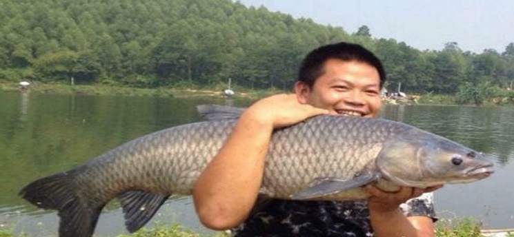 Biểu trưng cho thành quả lao động và vận may sắp đến.