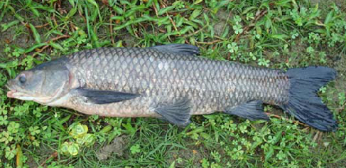 Thể hiện sự cảnh báo về những rủi ro tiềm ẩn.