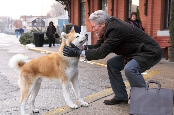 Một người đang chơi đùa cùng chú chó – biểu tượng cho tình bạn và lòng trung thành