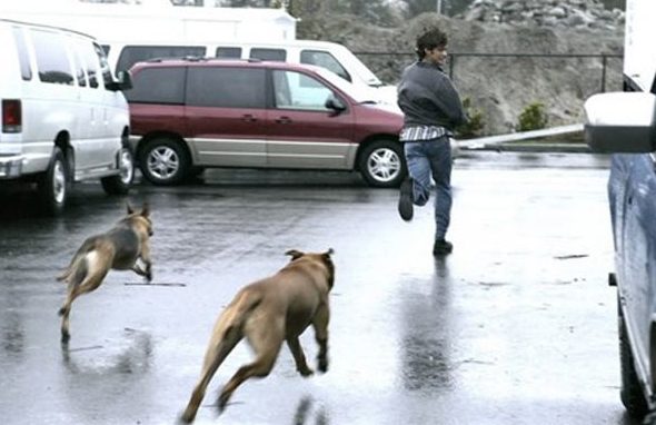 Hình minh họa người bị chó đuổi, ánh sáng thể hiện cảm giác hoảng sợ – tượng trưng cho sự đối mặt với thử thách