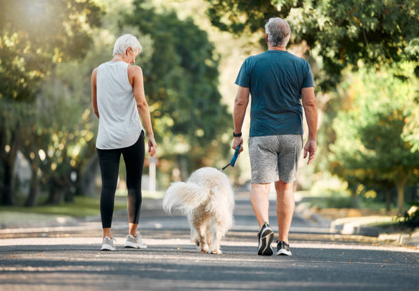 Cảnh người dắt chó đi dạo dưới ánh hoàng hôn – biểu tượng cho sự bình an và khép lại một hành trình mơ đẹp