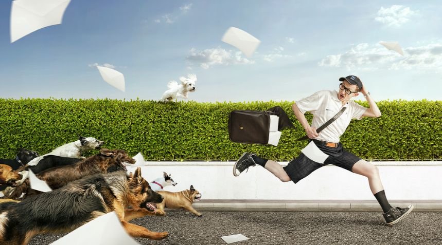 Từ góc độ phân tích tâm lý, giấc mơ thấy chó đuổi xuất hiện khi bạn đang cảm thấy lo lắng