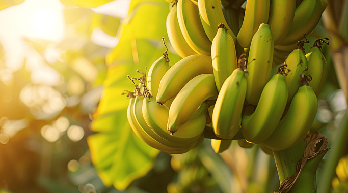 Thể hiện sự kiên trì và quá trình trưởng thành từng bước.