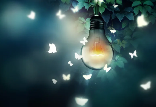  Bướm bay quanh ánh đèn vàng ấm, thể hiện sự thu hút và cảnh báo cẩn trọng.