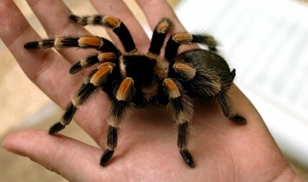 Thể hiện cảm giác lo lắng và áp lực trong tâm trí.