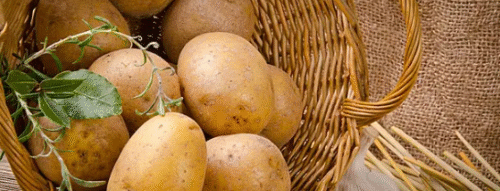 Mơ Thấy Củ Khoai – Giải Mã Giấc Mộng Đầy Ý Nghĩa Và Con Số May Mắn