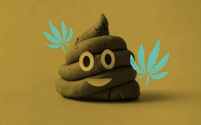 Giải mã ý nghĩa của giấc mơ thấy cứt