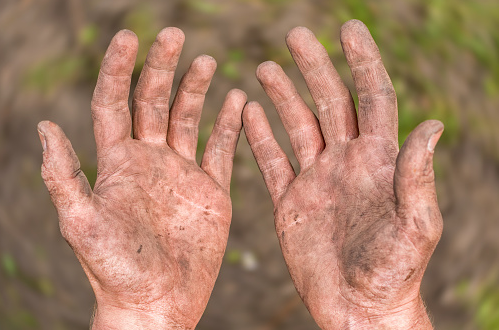 Thể hiện sự bất ngờ và tò mò về điềm báo.