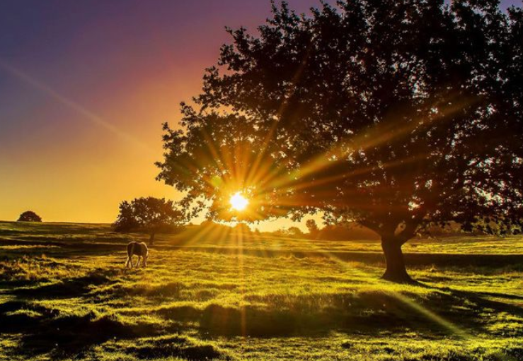 Sự khởi đầu mới sau khi vượt qua nguy hiểm – thông điệp tích cực từ giấc mơ thấy cứu đàn ông khỏi chết đuối.