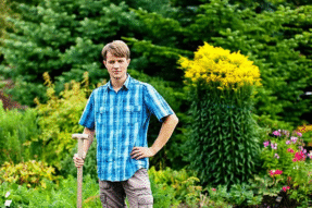 Mơ Thấy Đào Đất – Giải Mã Điềm Báo Và Con Số May Mắn