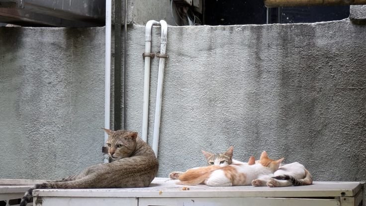 Con số may mắn tham khảo theo dân gian