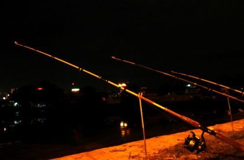 Mơ thấy cần câu bị đứt hoặc mất mồi