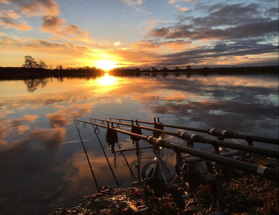 Giấc mơ thấy đi câu không được cá không quá xấu mà mang tính cảnh báo để bạn thận trọng hơn