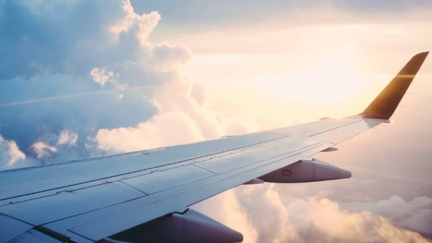 Biểu trưng cho tầm nhìn xa và sự tự do.