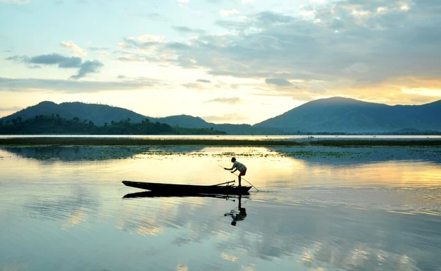 Tượng trưng cho sự thanh thản và hy vọng.