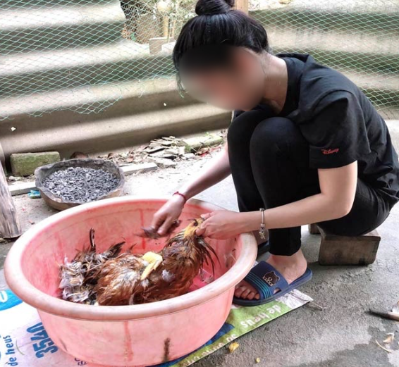  Một người dân quê đang làm gà bên hiên nhà, khung cảnh ấm cúng và giản dị.