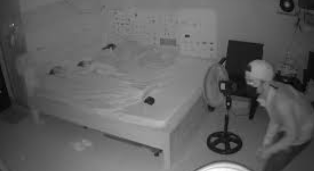 Thể hiện nỗi lo bị xâm phạm.