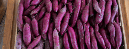 Mơ Thấy Khoai Lang – Giải Mã Giấc Mơ Mang Tài Lộc Và Con Số May Mắn