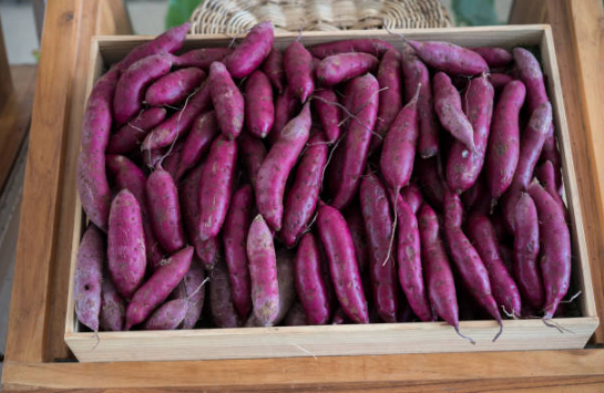 Một giỏ khoai lang tím tươi, gợi cảm giác ấm áp và thân thuộc của làng quê Việt.
