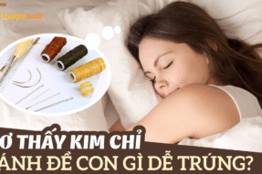 Nằm Mơ Thấy Kim Chỉ Báo Hiệu Điều Gì Trong Cuộc Sống Và Công Việc?