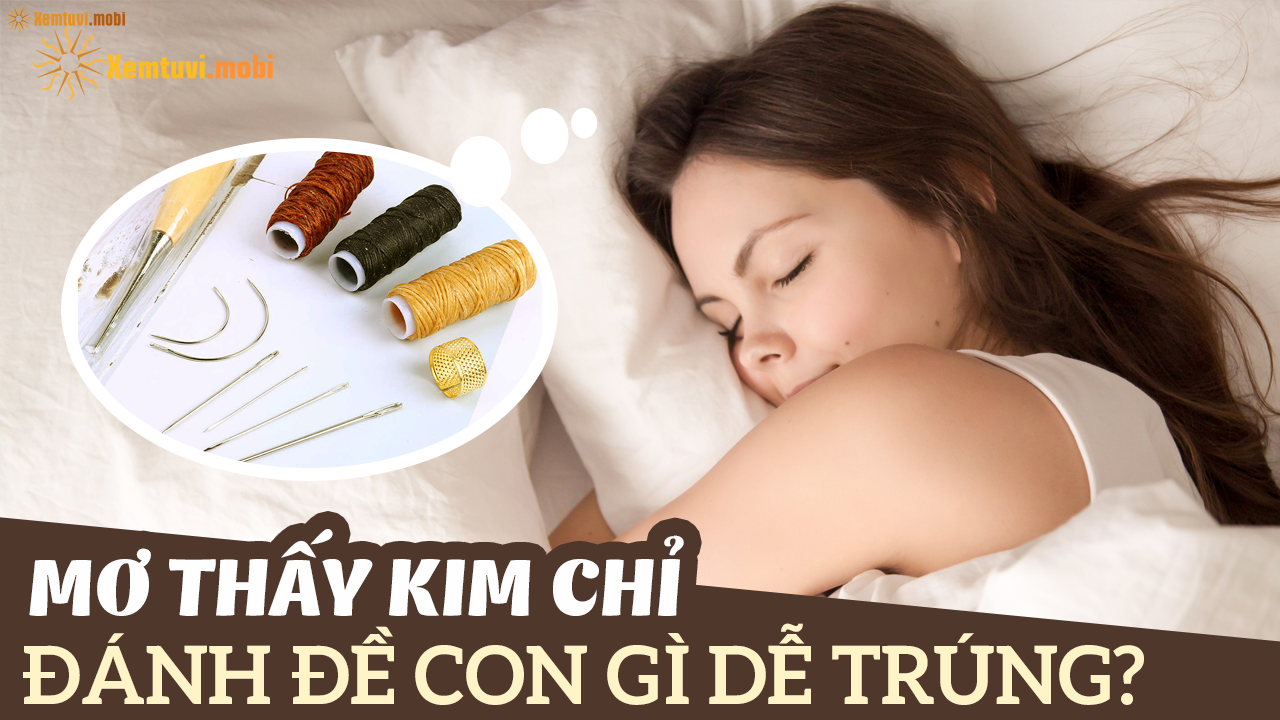 Mơ thấy kim chỉ đánh con gì?