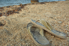 Mơ Thấy Mất Dép – Giải Mã Giấc Mơ Báo Hiệu Điều Gì Cho Cuộc Sống Của Bạn