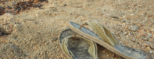 Mơ Thấy Mất Dép – Giải Mã Giấc Mơ Báo Hiệu Điều Gì Cho Cuộc Sống Của Bạn