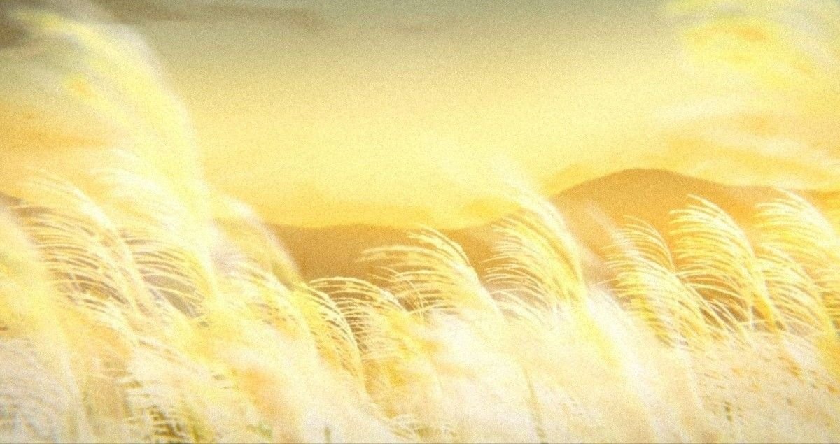 Lời khuyên sau giấc mơ thấy màu vàng