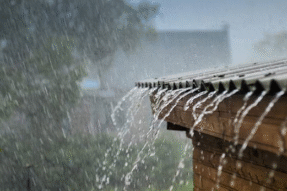 Mơ Thấy Mưa Nhỏ – Dấu Hiệu Bình Yên Và May Mắn Trong Cuộc Sống