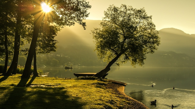 Tượng trưng cho hy vọng và khởi đầu mới.